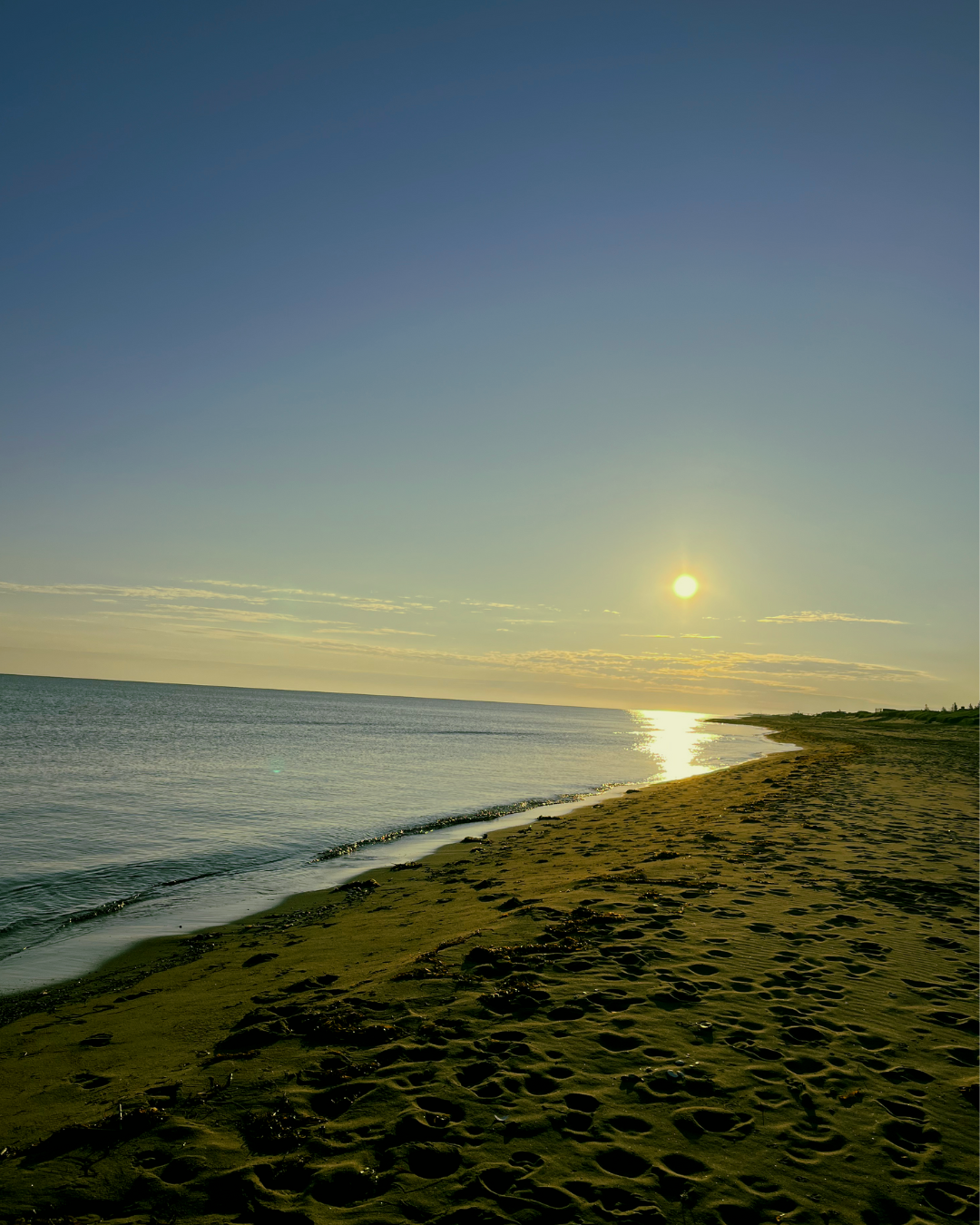 From Pain Points to Purpose: Authentic Marketing That Builds Trust