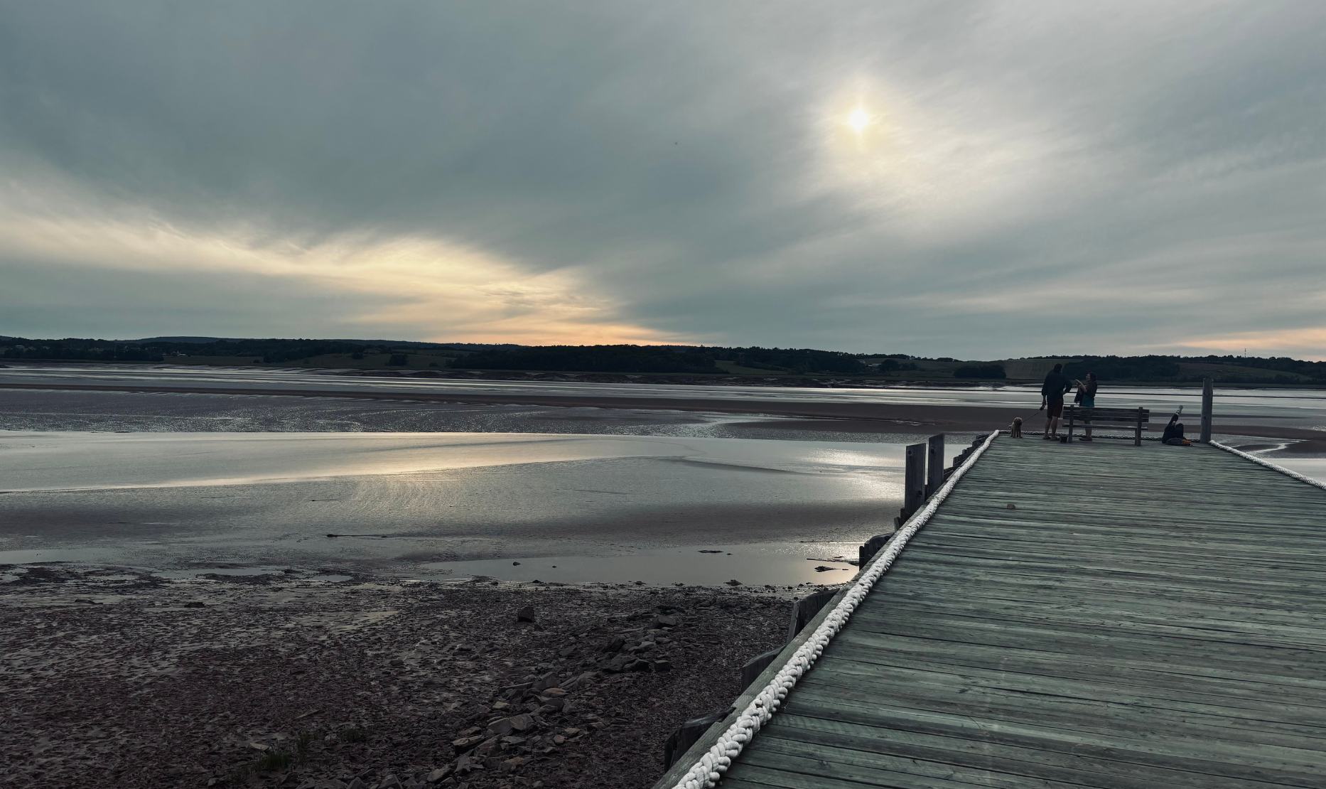 Using Pinterest as a Softer Platform to Market Your Business with Gentleness + Ease