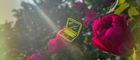 Why Content Creator Advice Is Killing Your Service-Based Business